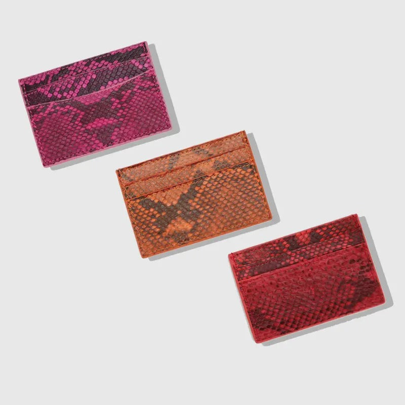 Python Card Holder
