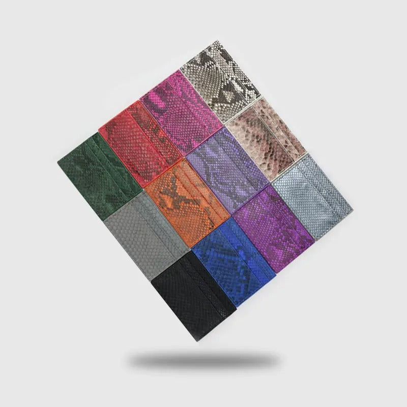 Python Card Holder